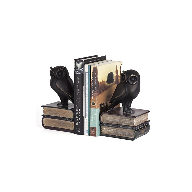 Danya B. Owl on Books Bookend Set