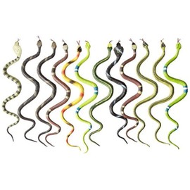 Rhode Island Novelty 14" Rain Forest Snakes | Assorted Designs | Set of 12
