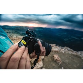 Sony SF-G64T SD-Speicherkarte (64 GB, UHS-II, SD Tough, G Serie)