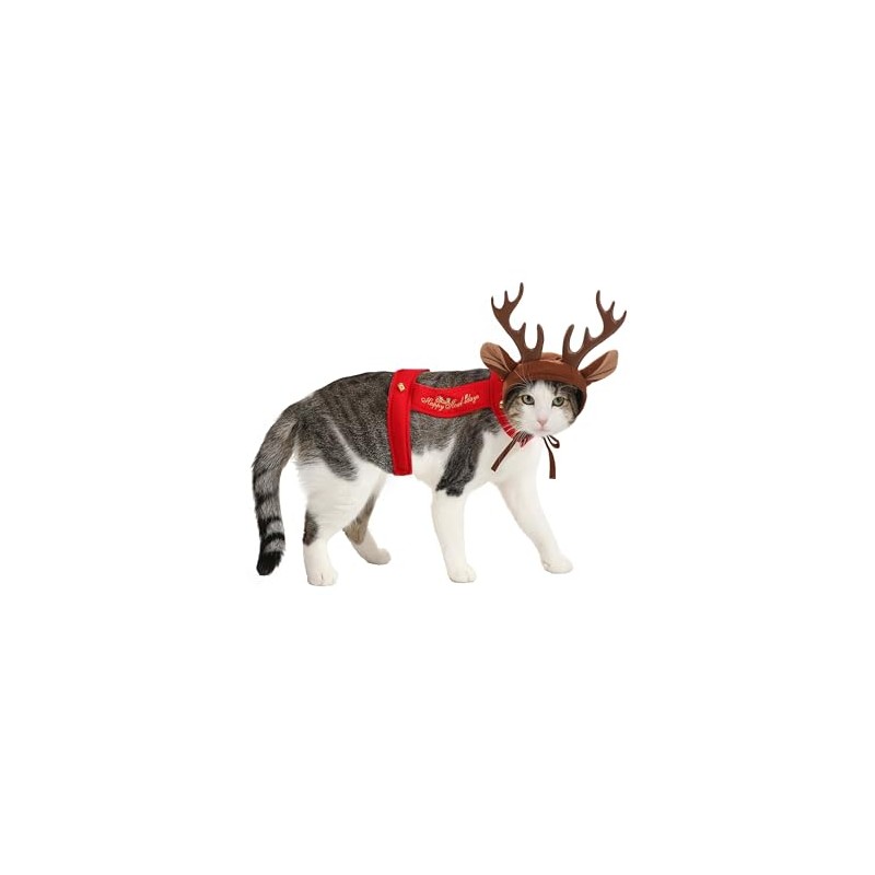 California Costumes Collections PET20155 Apparel for Pets, Small