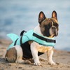 Queenmore Small Dog Shark Life Jacket,Dog Life Vest for Swimming