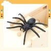 Rubber Spider Trick Box, Handmade Wooden Trick Surprise Box Spider