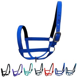 Majestic Ally Adjustable Nylon Cattle Halter with Padded Crown and Nose - 6-Month Warranty (Royal Blue, Large)