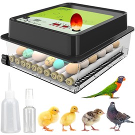 OBI-36 Egg Incubator with Automatic Egg Turning and Humidity Control + 36 Eggs + Temperature Control + Humidity Display + Integrated Egg Candler + 5 Year Assurance + Chicken Duck and Quail Eggs
