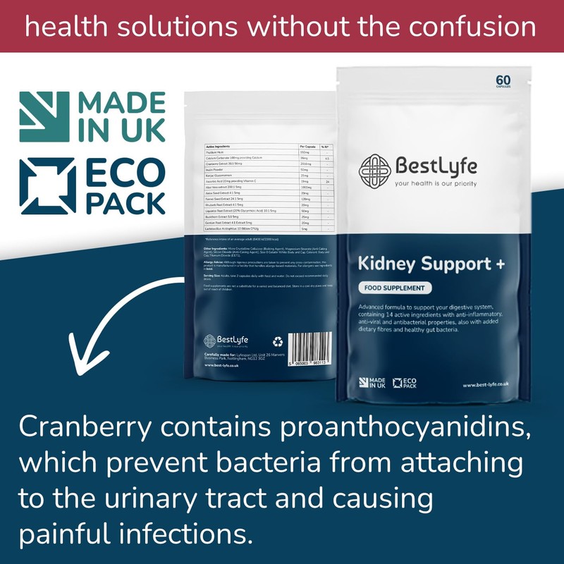 BestLyfe Kidney Support | 60 Capsules | Liver & Kidney