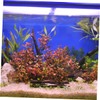 TEHAUX Real Wood Fish Tank Decor Aquarium Driftwood Branches Natural