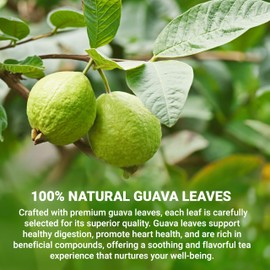 LeafLea 120 Guava Leaf Tea Bags, Premium Natural Herbal Tea, 100% Hojas De Guayaba, Caffeine-Free, Non-GMO, Supports Digestion & Immune Health, Packed with Natural Goodness