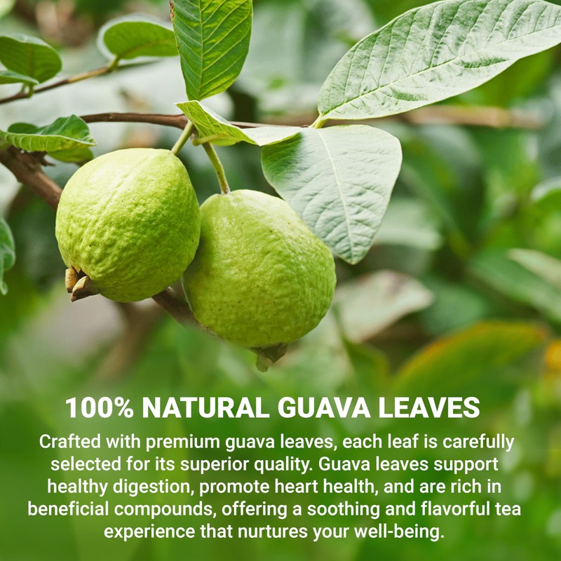 LeafLea 120 Guava Leaf Tea Bags, Premium Natural Herbal Tea,