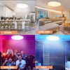 MELEGAN 2Pcs RGB Smart Ceiling Light, Super Slim LED Flush