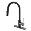 Havin Black Kitchen Faucet with Pull Down Sprayer, with 10"