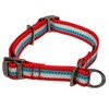 Kurgo Dog Training Collar | Martingale Style Collars for Dogs