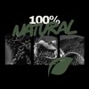 Black Insomnia Classic Roast Whole Bean Coffee - The Strongest