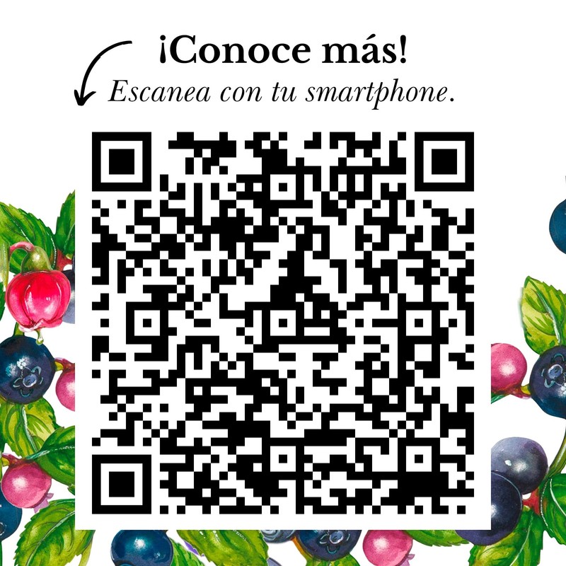 ARANDANO AZÚL COMESTIBLE 100% NATURAL