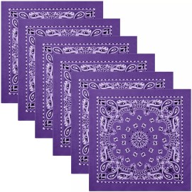 Rothco Purple Paisley Trainmen Bandana 6-Pack Dust Mask Headband Skull Cap 22"x22"