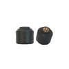 TST 507 Tire Pressure Monitoring System, 2 Cap Sensors for