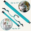 Jelly Pet Dog Belly Loop Restraint for Pet Grooming Table