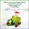 Mixed Roots Compounds Deep Conditioning Masque Babassu & Avocado 355