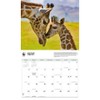 Carousel Calendars, Giraffes WWF 2026 Wall Calendar, 12.01'' X 14.09'',