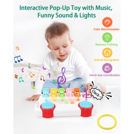 Interactive Pop Up Animal Toys, Cause and Effect Toys for 1 Year Old Boy Girl Birthday Gift, Baby Musical Toys with Music & Light for Toddlers, Early Educational Montessori Animal Learning Toys (Red)