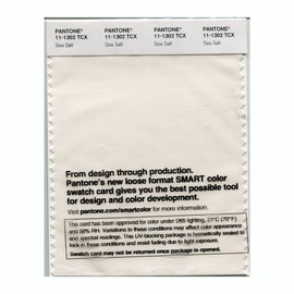 Pantone Smart Swatch 11-1302 Sea Salt