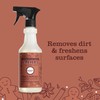 MRS. MEYER'S CLEAN DAY Multi-Surface Everyday Cleaner, Limited Edition Gingerbread