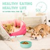 Ceramic Slow Feeder Dog Bowl for Medium Size, Cute Paw