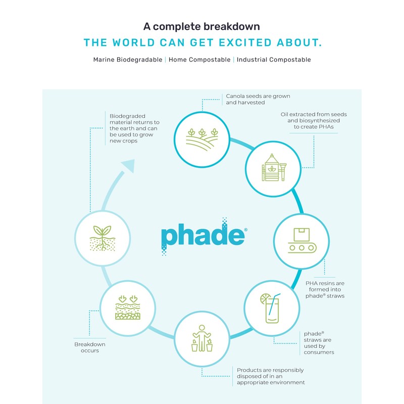 phade Eco-Friendly 7.75" Jumbo Drinking Straws, Un-wrapped 6000 Count -