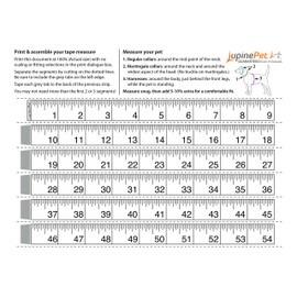 LupinePet Basics 3/4" Red 15-21" Step In Harness for Small Dogs