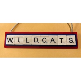 UArizona Wildcats U of A Arizona Christmas Ornament Letters Tiles Handmade