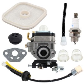 USPEEDA Carburetor for Echo PPT-260 PPT-261 SRM-260S SRM-261S Power Blower Leaf Blower 62100-81010 Carb Air Filter Kit