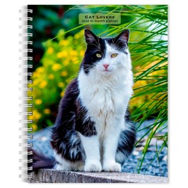 Cat Lovers | 2026 6 x 7.75 Inch Spiral-Bound Wire-O Weekly Engagement Planner Calendar | New Full-Color Image Every Week | BrownTrout | Animals Domestic Kittens Feline