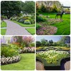 Watayo 30 FT Grass Barrier Landscape Edging Coil - 5