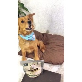 Nutriblend Suplemento Para Perro, Digestión Y Articulaciones                                                                                          