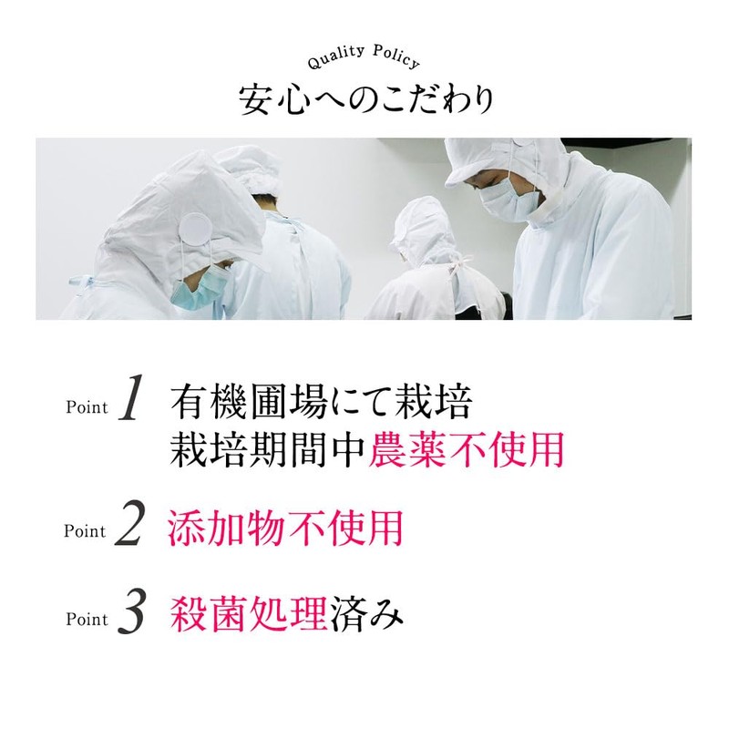 オーガランド 酵素の恵み（60g）青パパイヤ酵素 パパイヤ酵素 青パパイヤ パウダー鹿児島産 無農薬 無添加 粉末