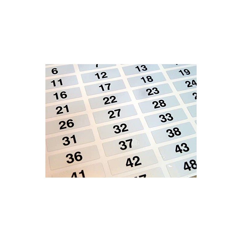 31x10mm, Black on Silver Labels, Consecutively Numbered 1 to 100,