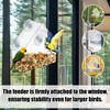 Window Bird Feeder – Clear Acrylic Bird Feeder, See-Through Design
