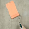 Mister Rui Small Paint Roller, Microfiber Paint Roller, 4 Inch