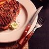 Tramontina Churrasco 21199-703 flatware set