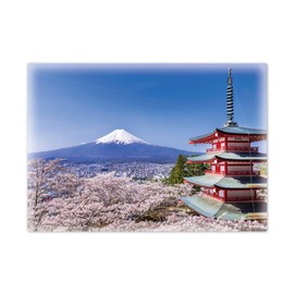 Mt. Fuji and Cherry Blossoms (Large Bath Poster) Made of Magnet Sheet, BIG Size