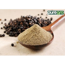 Puregro Black Pepper Fine 100g | PACK OF 1 | Premium Quality | Kali Mirch | Mary Powder |100% Natural |Ground Pepper Corn | Premium Quality Product By Puregro.