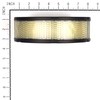 Briggs and Stratton Genuine 394018S Air Filter Cartridge
