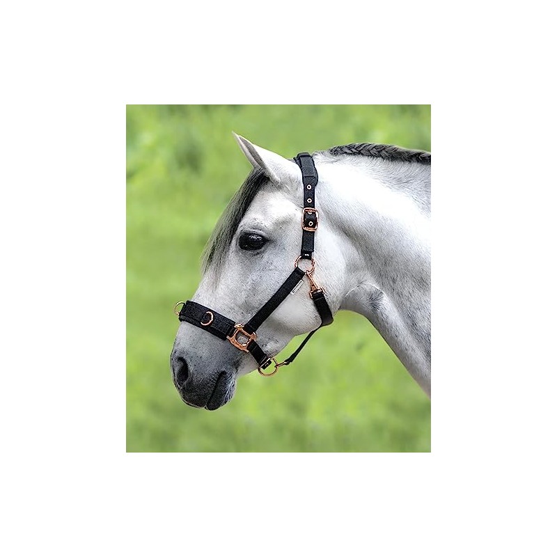 WALDHAUSEN Lunging Halter Rosé, VB, Black
