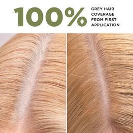 Lazartigue - Dark Golden Blonde Hair Dye with Botanical Extracts, Permanent Hair Colour, Vegan and Natural, No Ammonia (La Couleur Absolue)