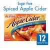 Alpine Sugar Free Spiced Apple Cider Instant Drink Mix, Rich