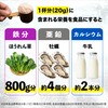 三ツ星ウェルネス 1日分の鉄と亜鉛が補えるおいしいプロテイン 鉄分補給 ココア味 300g 人工甘味料不使用 ソイプロテイン 鉄分8mg 亜鉛11mg カルシウム