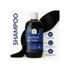 Shampoo Capilar De Alquitrán De Hulla 500ml