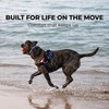 ShawnCo Essential Dog Harness, No-Pull Pet Vest with 3 Leash