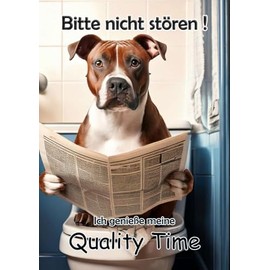 Blechschild Humor Aluminium 20x30cm - auf der Toilette mit Zeitung American Staffordshire Terrier 07