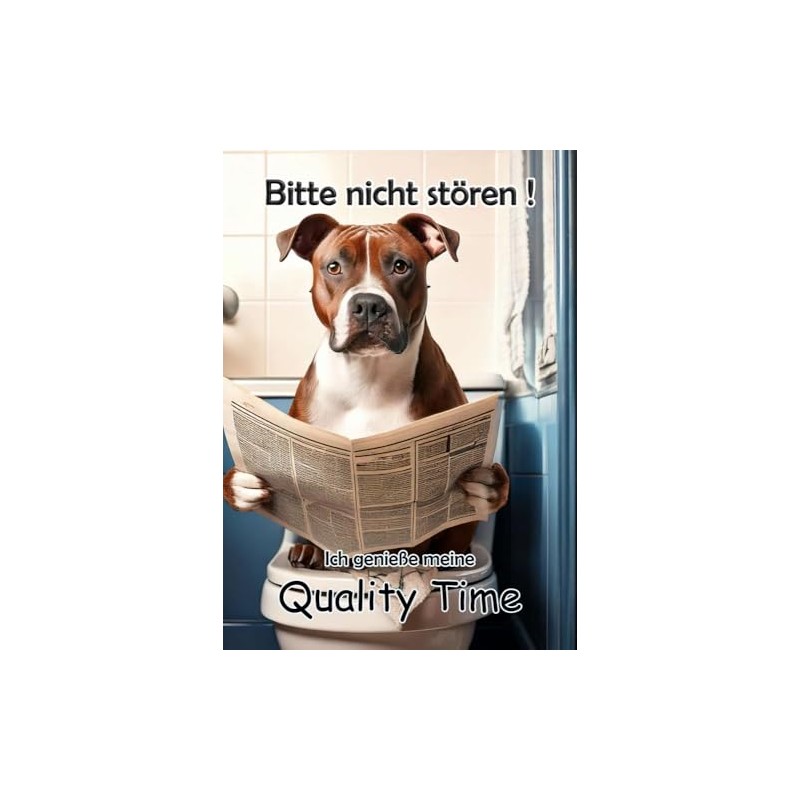 Blechschild Humor Aluminium 20x30cm - auf der Toilette mit Zeitung