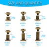 Chicago Screws for Leather,SpzcdZa 6 Sizes Screw Rivets Silver Chicago